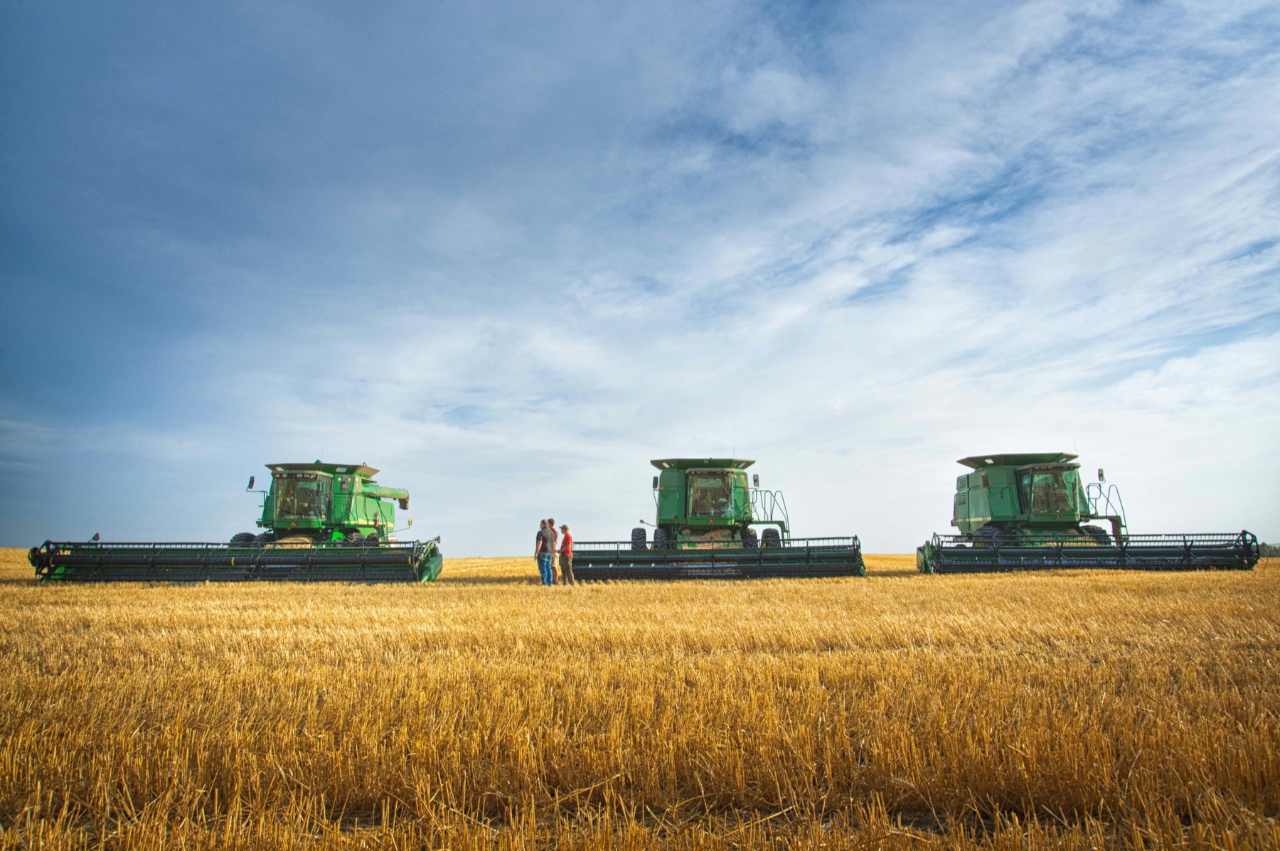 Two farmers partnering at harvest alongside their combines in a wheat field
