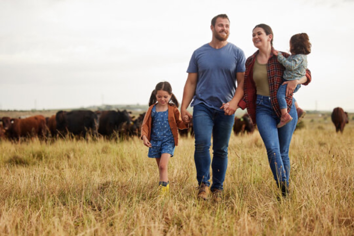 An American farm family walking their land alongside their cattle