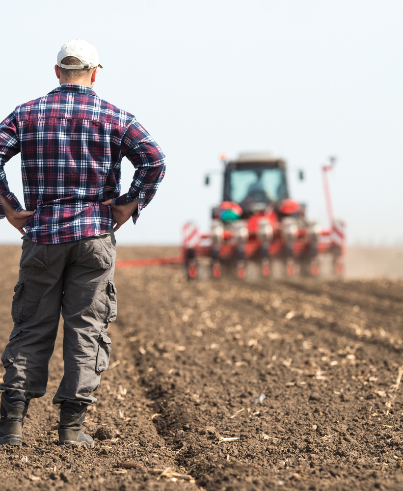 A farmer surveying his land, a partner of Sovereign Agricultural Group