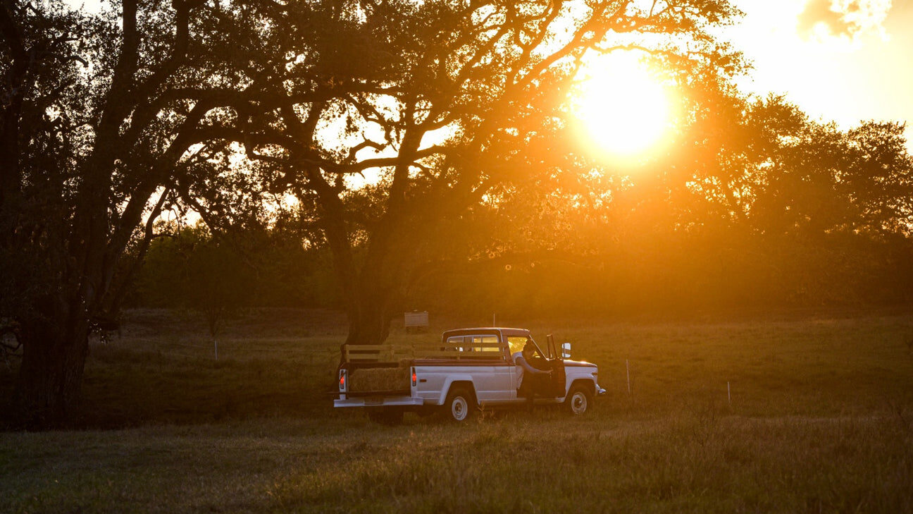 Sunset over the farm